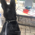 Fabrik Drop Versand 15mm Edelstahl Hundeleine Hundekettenlänge Haustier Vorräte für Hundeausbildung
